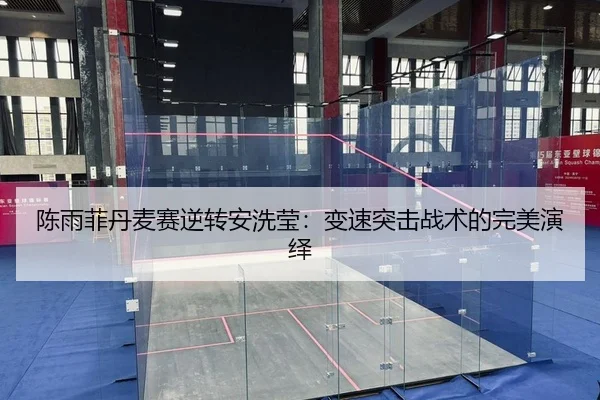 陈雨菲丹麦赛逆转安洗莹：变速突击战术的完美演绎